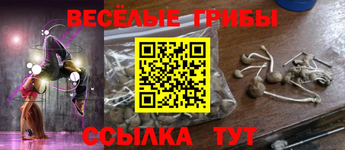 Псилоцибиновые грибы прущие грибы Железноводск